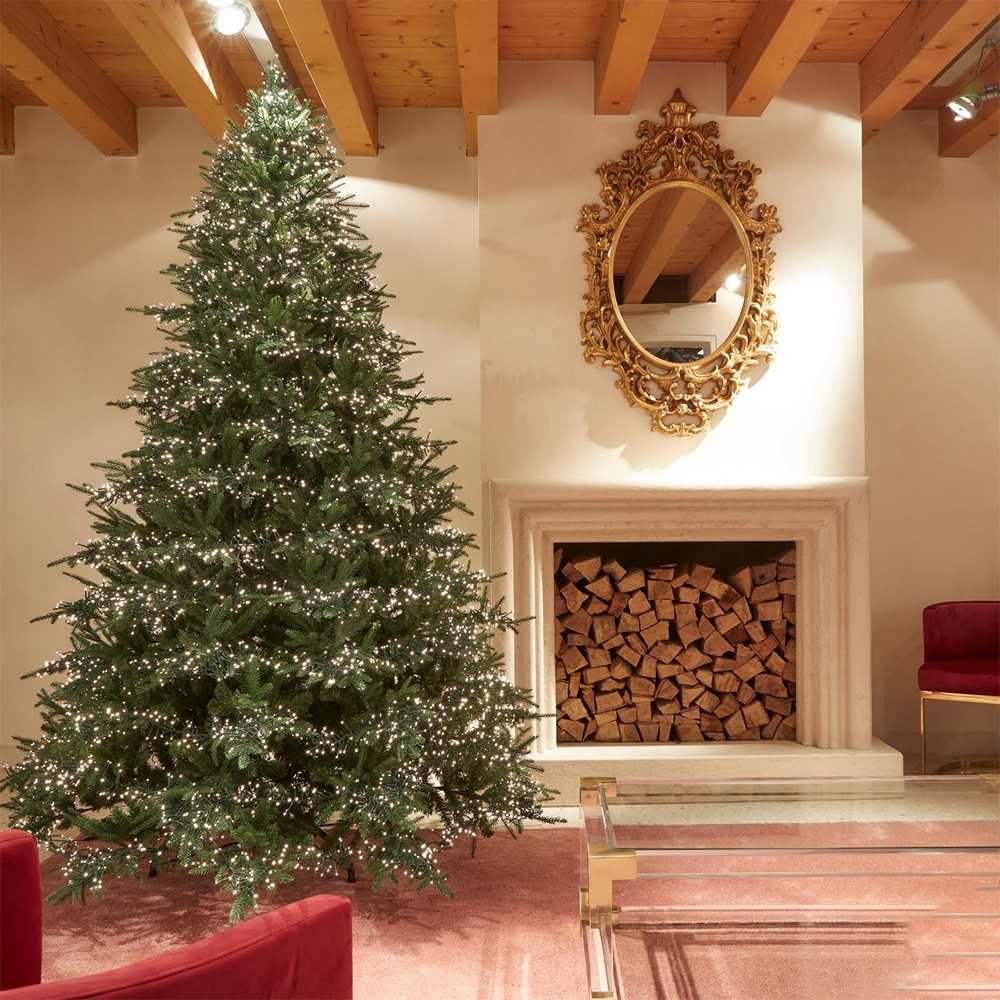 albero-natale.jpg